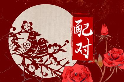血型与性格标签